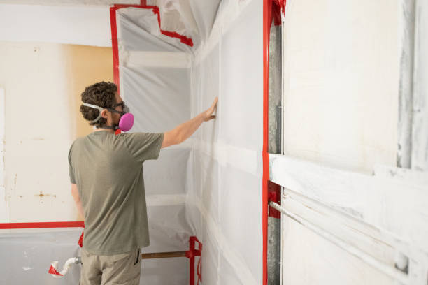 Mold Removal for HVAC Installations in Lovelock, NV