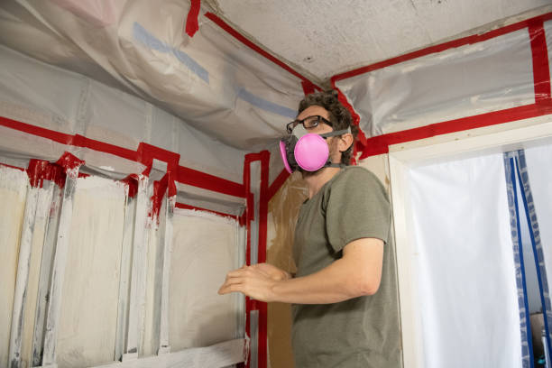 Best Mold Damage Restoration  in Lovelock, NV