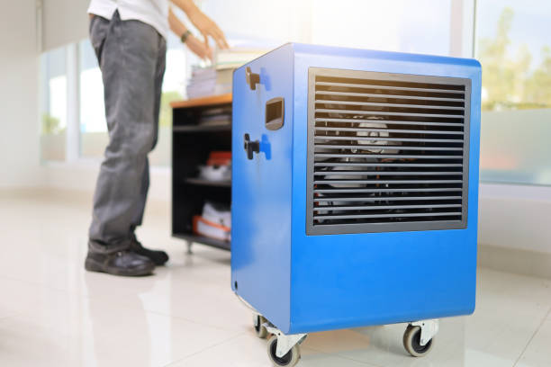  Lovelock, NV Mold Removal Pros