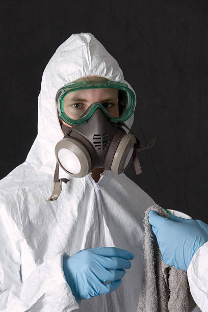Best Water Damage & Mold Remediation  in Lovelock, NV